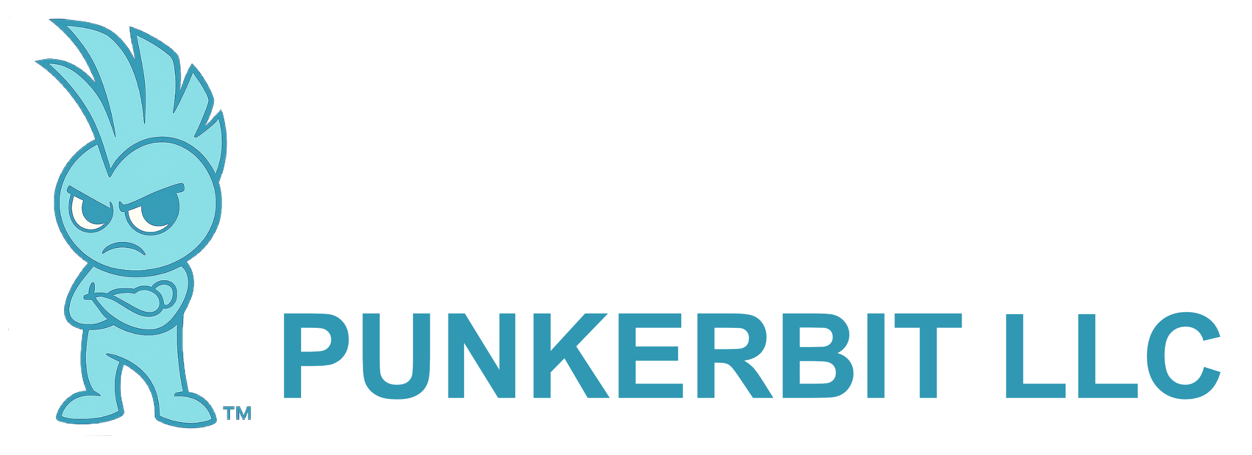 PUNKERBIT LLC